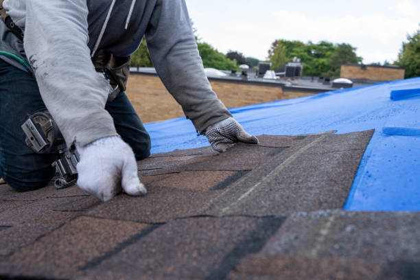 Quick and Trustworthy Emergency Roof Repair Services in Gwinn, MI